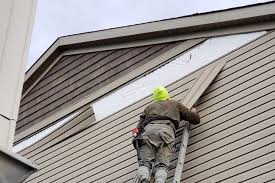 Best Vinyl Siding Installation  in Loves Park, IL